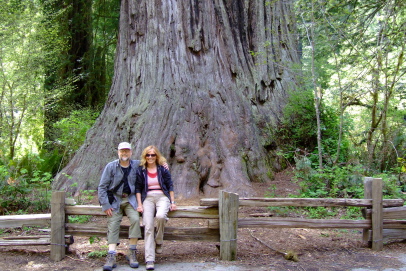 Redwood National Park / Nord Kalifornien